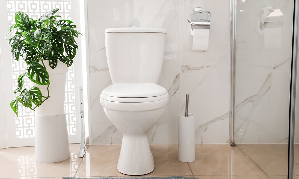 Let your toilet live a long life