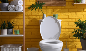 Common Misconceptions About Low-Flow Toilets