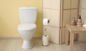 How to Choose the Right Low-Flow Toilet for Your Home