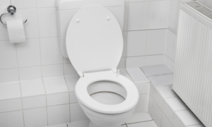 Tips for Maintaining Your Low-Flow Toilet