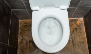 What are Low-Flow Toilets