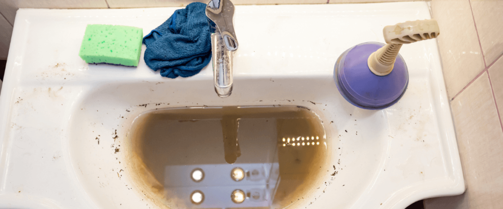 The Perils of Clogged Drains
